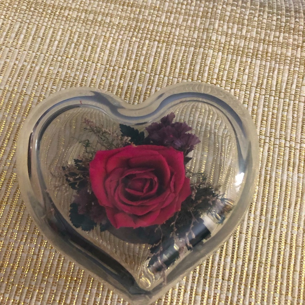 - - Vintage freeze dried rose heart